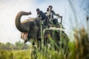 SAFARIS & WILDLIFE VIEWING  - 3x2