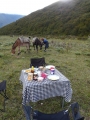 Lunch